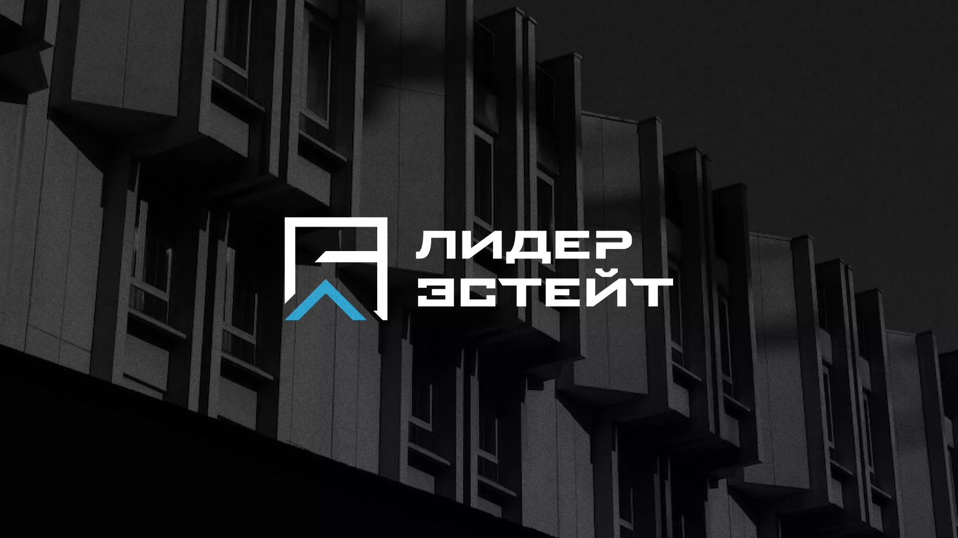 Разработка логотипа агентства недвижимости «Лидер Эстейт» в Кольчугино